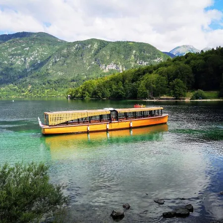 Počitniška hiša Family Home, - Bled